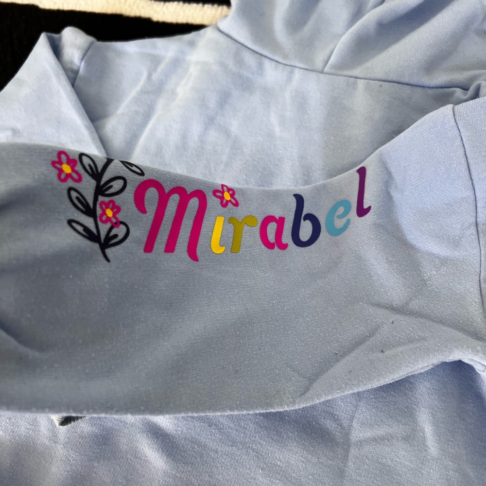 Disney Encanto set hoodie + sweatpants size 4T - Picture 5 of 5